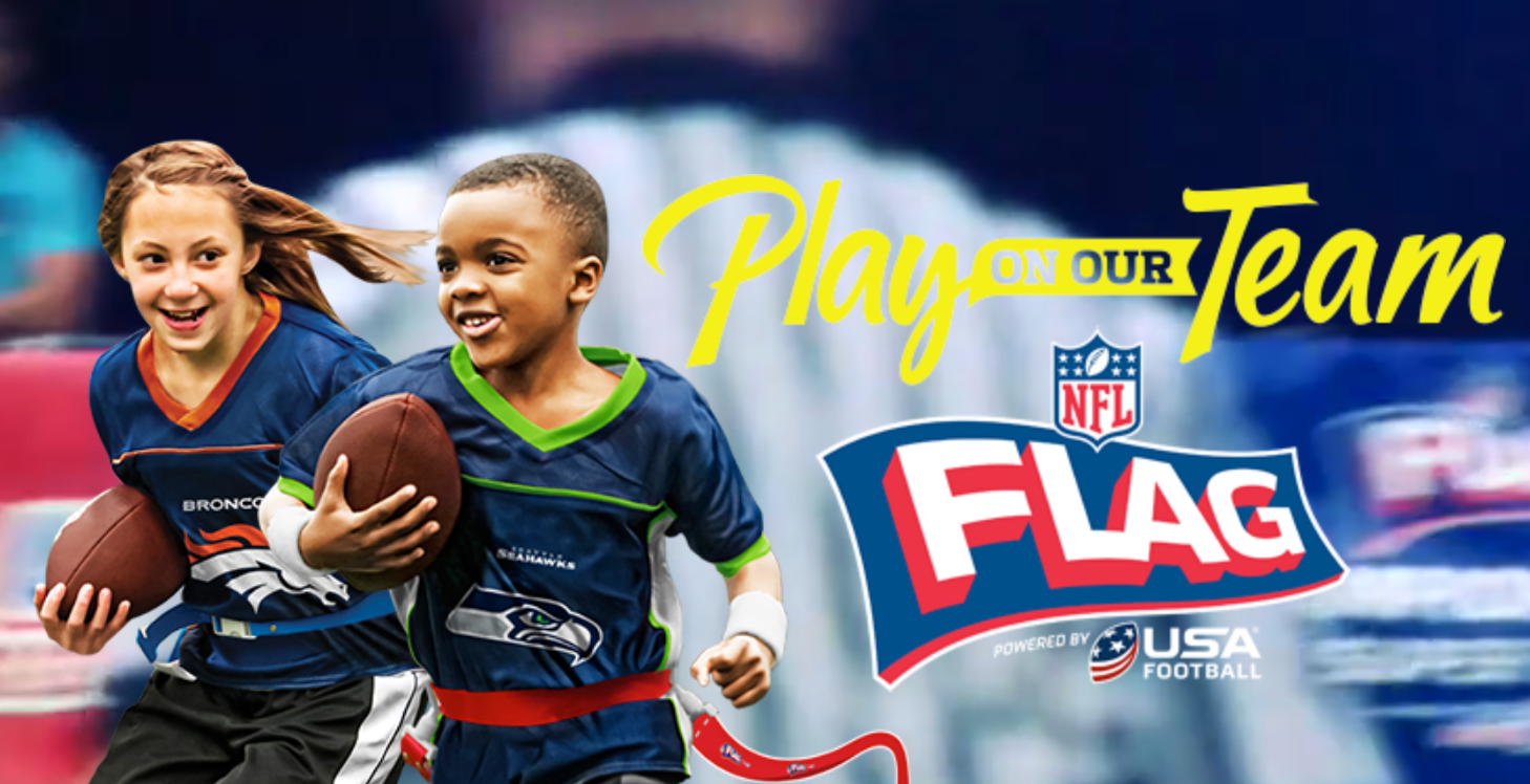 Image result for nfl flag