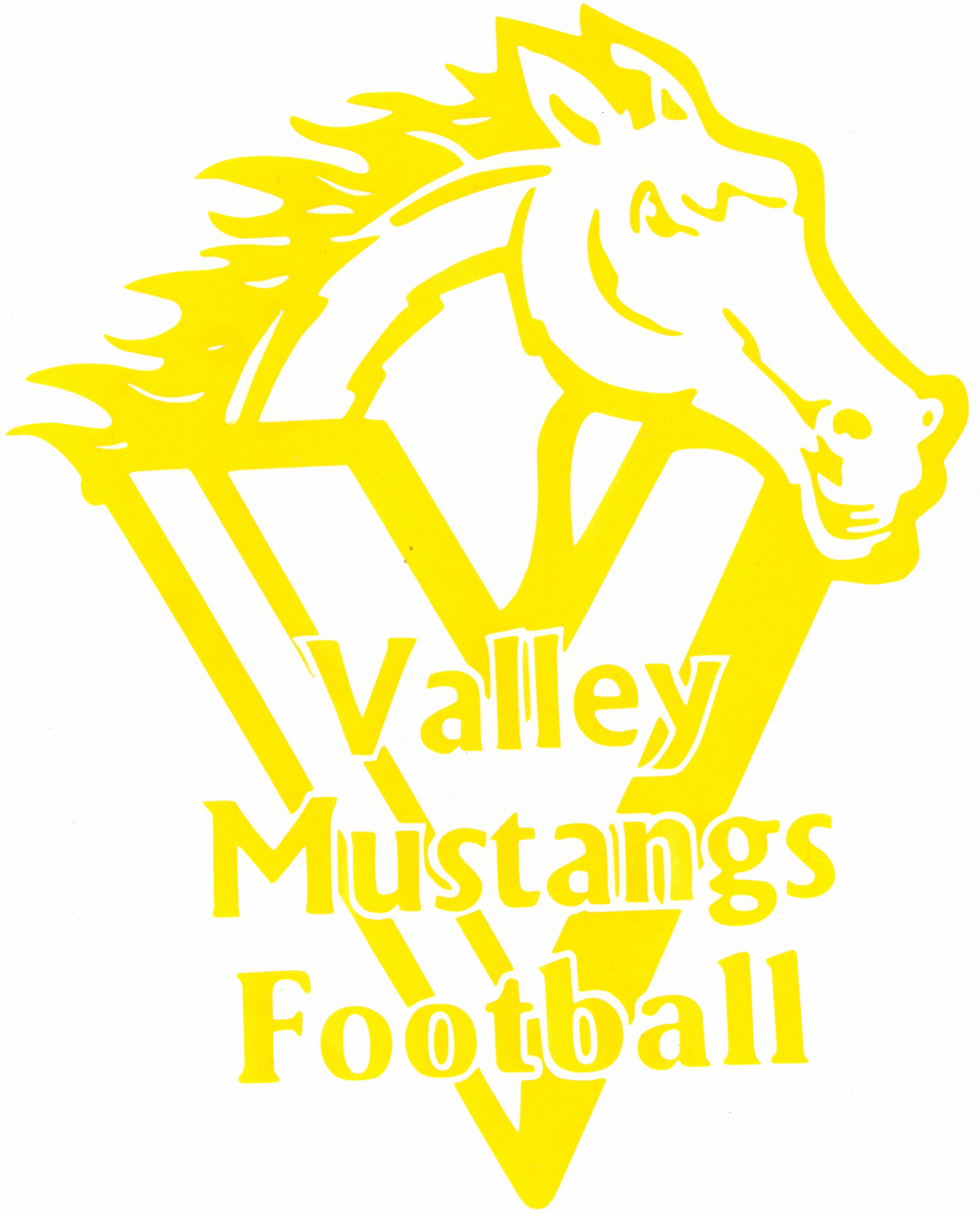 Valley mustangs logo yellow